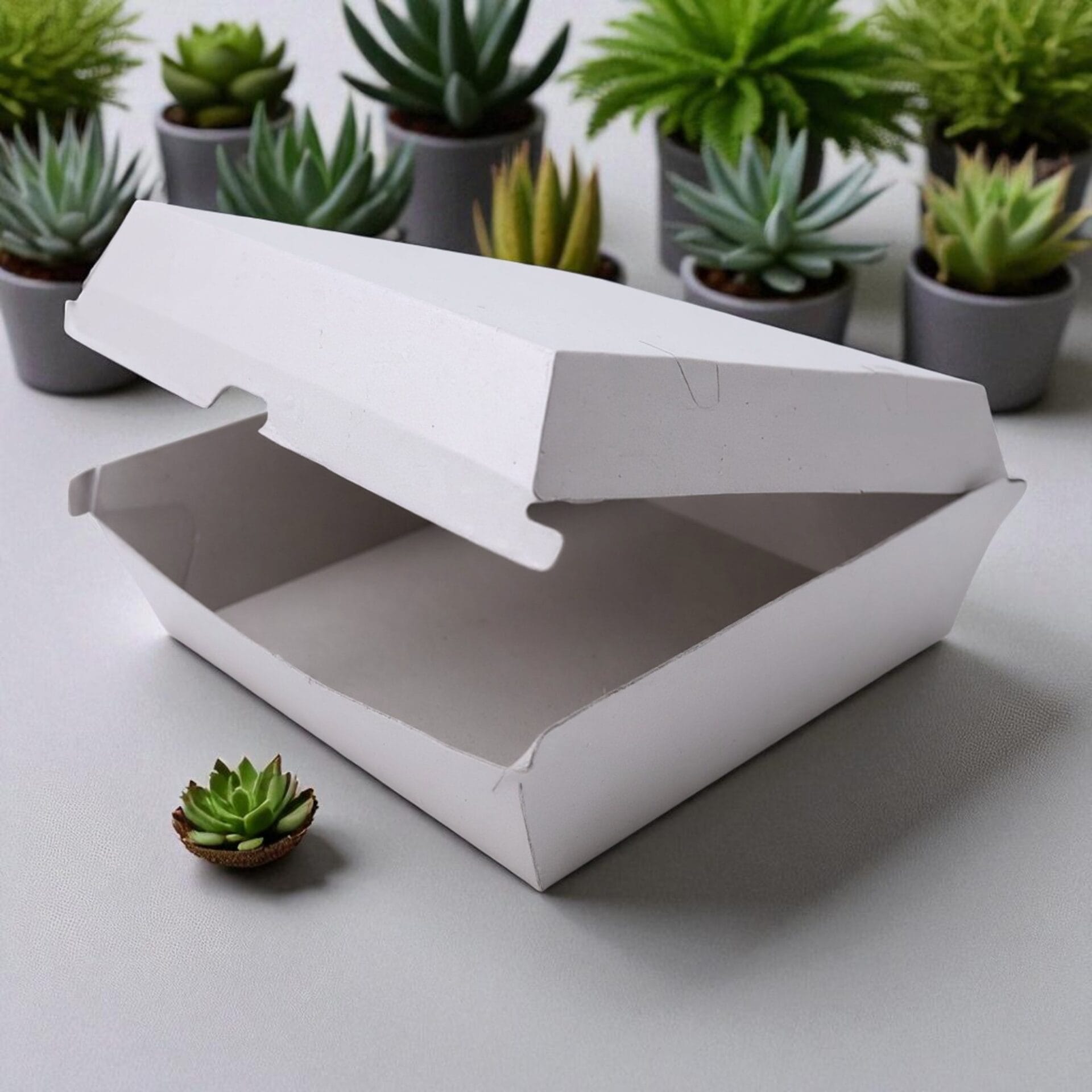 White Dinner Box - Image 6