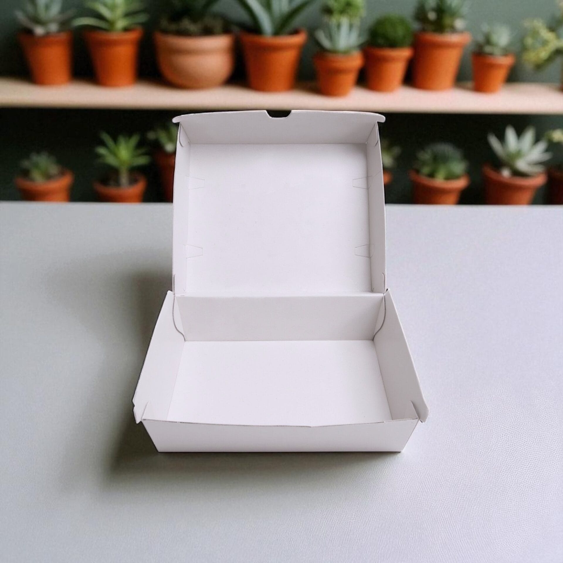 White Dinner Box - Image 3