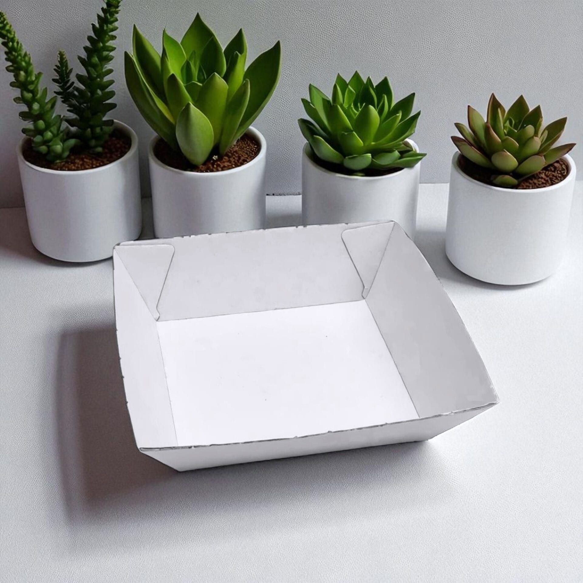 White Food Trays - Image 7