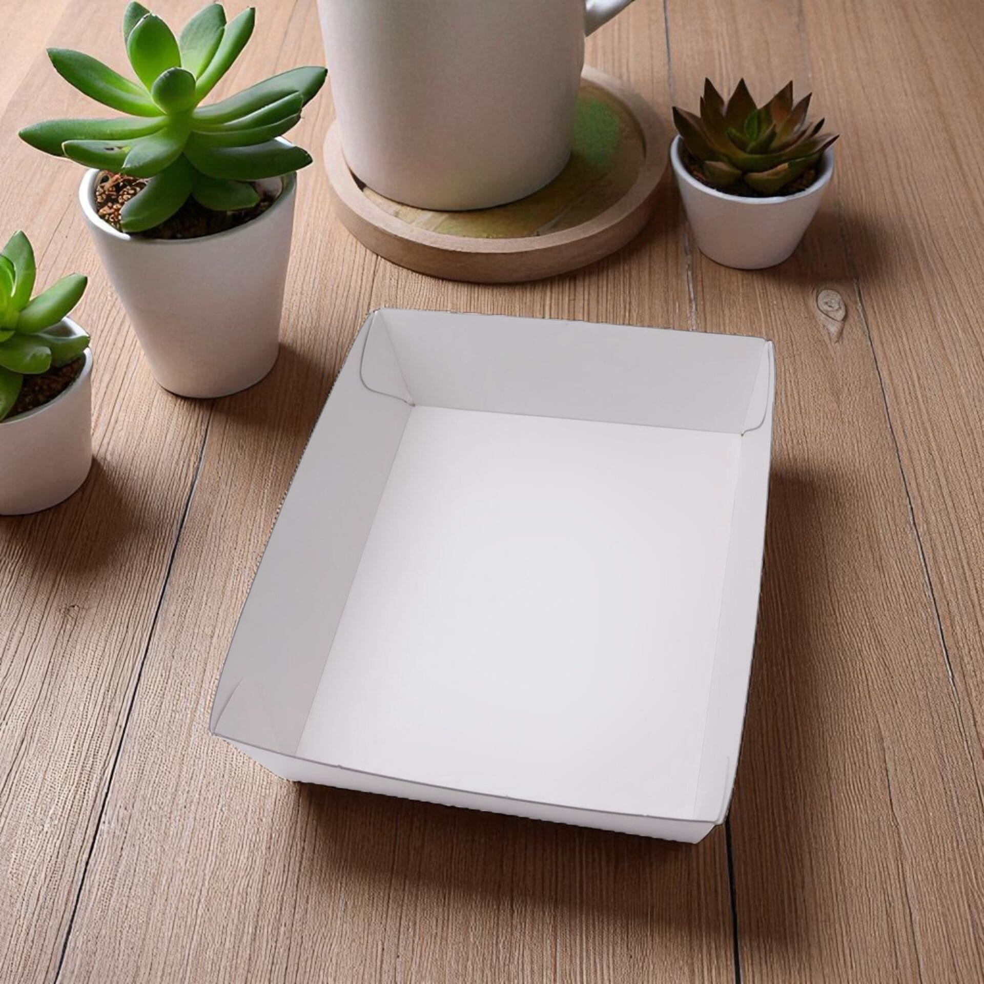 White Food Trays - Image 12